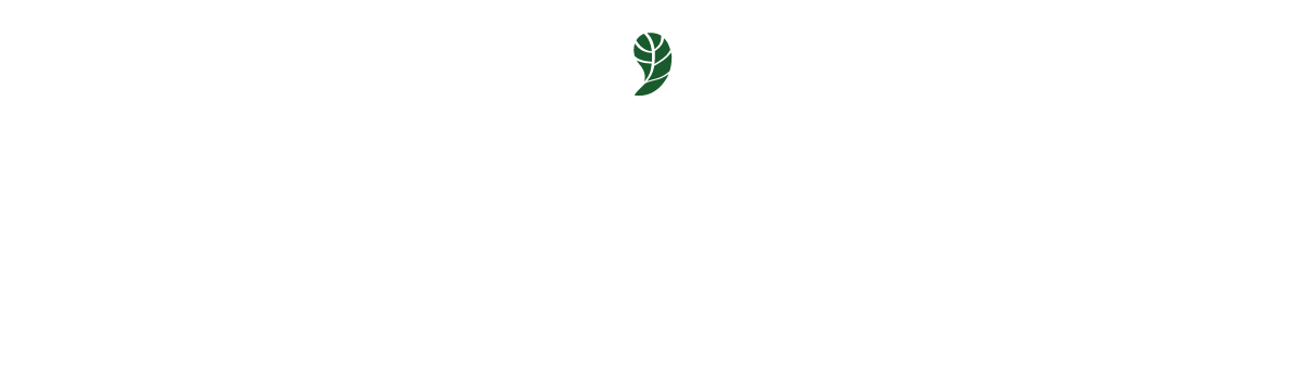 L'Angolo di Napoli